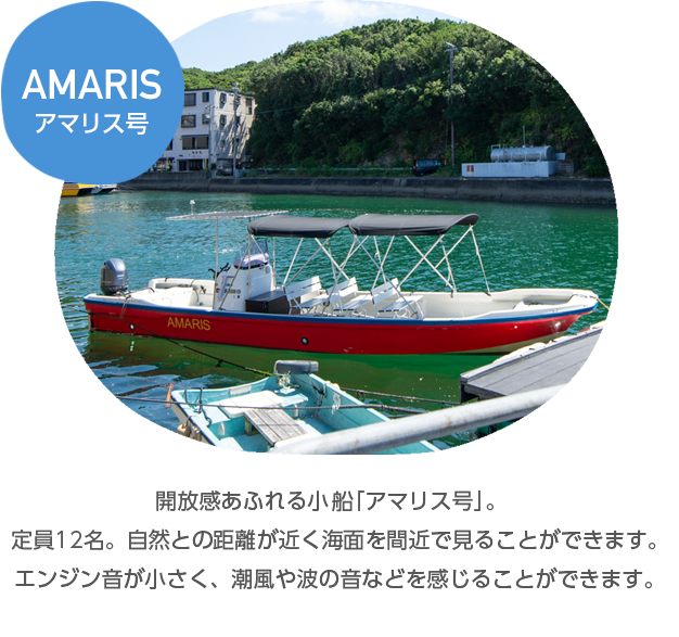 開放感あふれるアマリス号